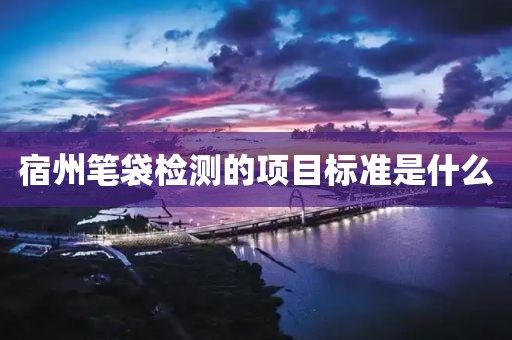 宿州笔袋检测的项目标准是什么